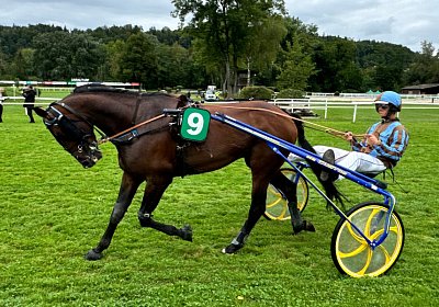 2024 08 25 Aarau IMG 8405 Alcide