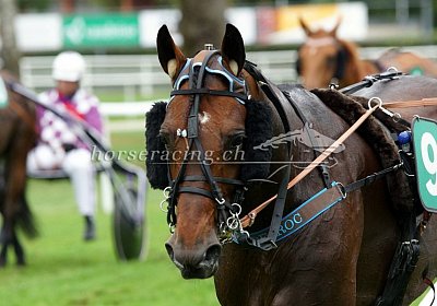 2024 08 25 Aarau O nv 04 16 alcide roc