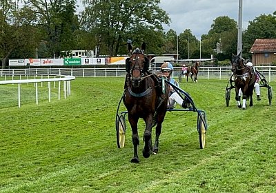 2024 08 25 Aarau P IMG 8471 Alcide