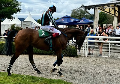 2024 08 25 Aarau S IMG 8621 Cuarto