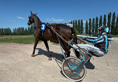 2024 08 27 Avenches IMG 8699 Jack