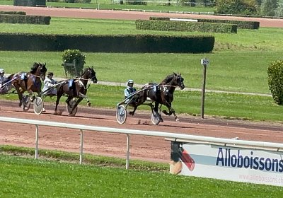 2024 08 27 Avenches IMG 8702 Jack