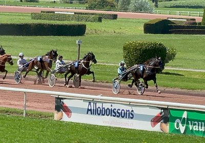 2024 08 27 Avenches IMG 8704 Jack