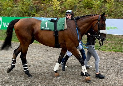 2024 09 08 IMG 9440 Fandango