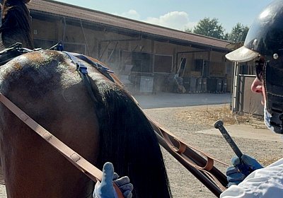 2024 09 20 Av IMG 0513 Loudesir