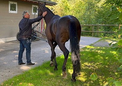 2024 09 22 Dielsdorf IMG 0736 Jack