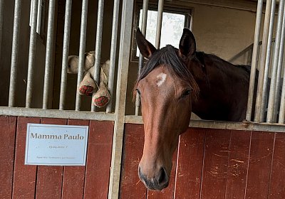 2024 10 07 Avenches IMG 2345 Mamma