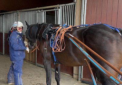 2024 10 07 Avenches IMG 2350 Midnight