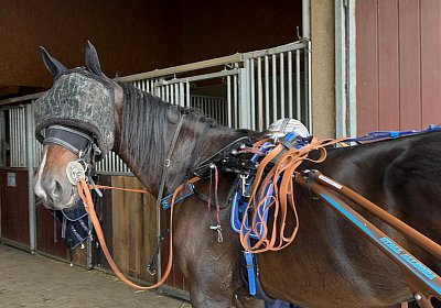 2024 10 07 Avenches IMG 2351 Midnight