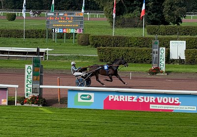 2024 10 07 Avenches IMG 2383 Midnight