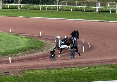 2024 10 07 Avenches IMG 2395 Midnight