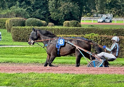 2024 10 07 Avenches IMG 2400 Midnight