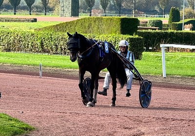 2024 10 07 Avenches IMG 2401 Midnight