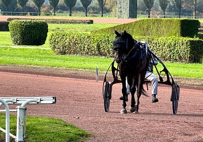 2024 10 07 Avenches IMG 2402 Midnight