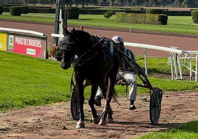 2024 10 07 Avenches IMG 2403 Midnight