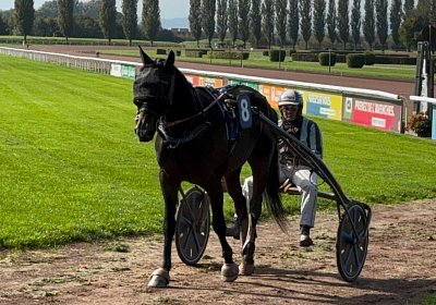 2024 10 07 Avenches IMG 2406 Midnight