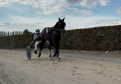 2024 10 07 Avenches IMG 2410 Midnight