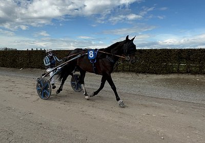 2024 10 07 Avenches IMG 2413 Midnight