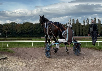 2024 10 07 Avenches IMG 2417 Midnight