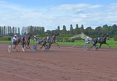 2024 10 07 Avenches J uw 03 03 kimchi d eliott midnight blues krapule de colmine