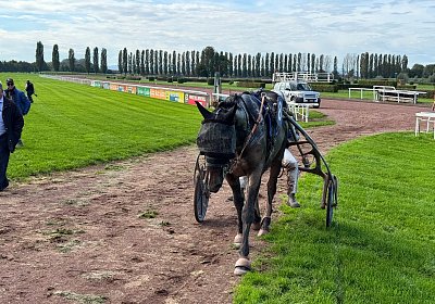 2024 10 07 Avenches K IMG 2421 Midnight