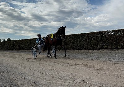 2024 10 07 Avenches K IMG 2426 Mamma