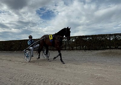 2024 10 07 Avenches K IMG 2427 Mamma