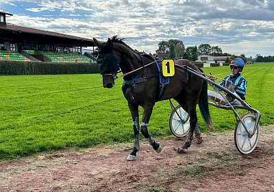 2024 10 07 Avenches L IMG 2444 Mamma