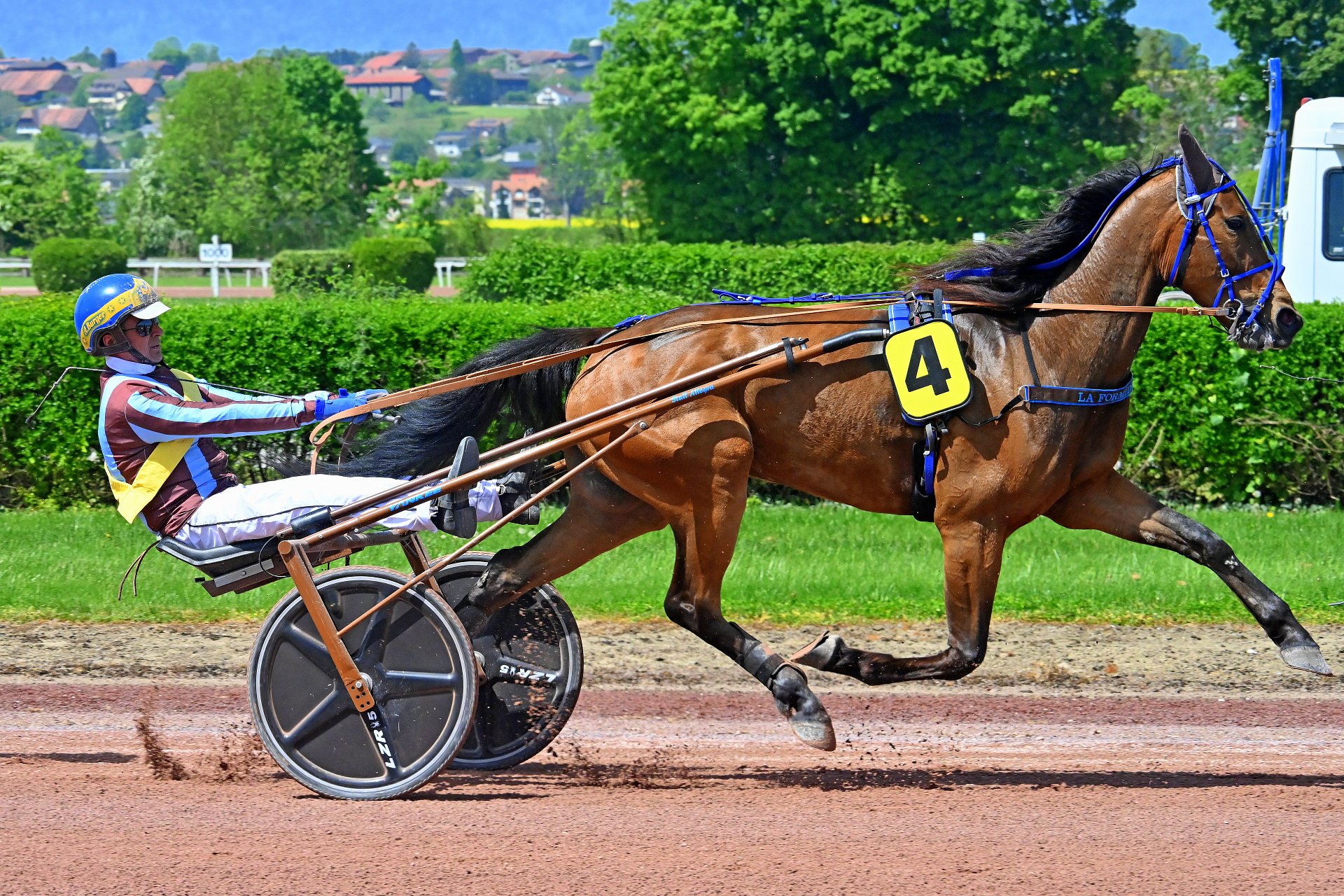 Stall News Avenches, 2.5.2025: LA FORMIDABLE gewinnt auch ihr drittes ...