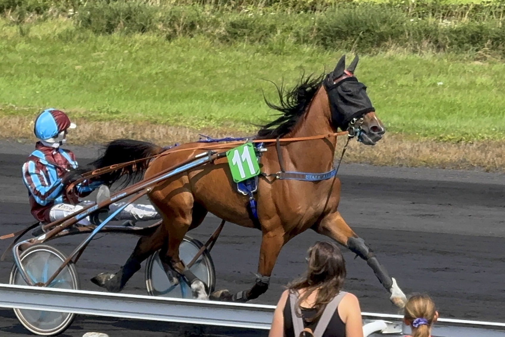 Avenches, 17.11.2025