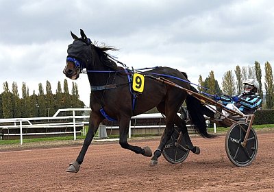 Tolle Siege für FANTA und MIDNIGHT in Avenches (16.10.25)