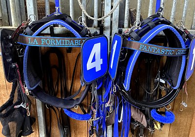 IMG 2034 Fanta La Formidable