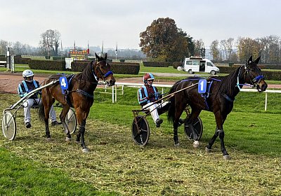 IMG 2081 Fanta La Formidable