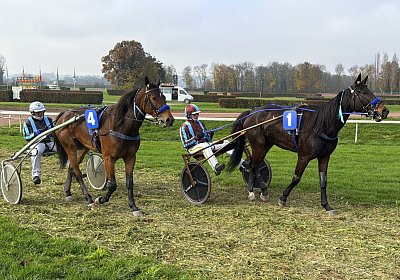 IMG 2083 Fanta La Formidable