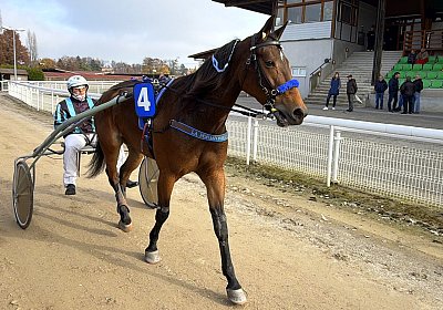 IMG 2088 La Formidable