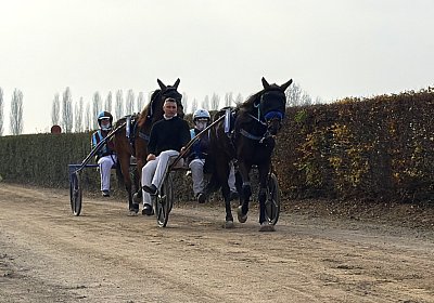 IMG 2094 Fanta La Formidable