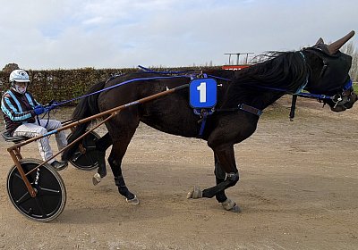 IMG 2098 Fanta La Formidable