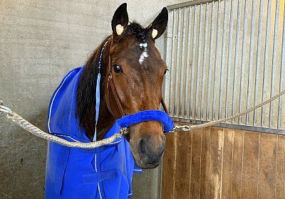 w IMG 2137 La Formidable