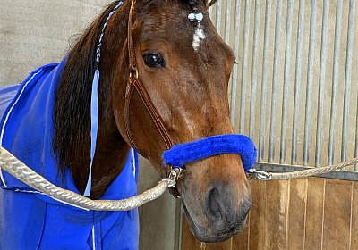 w IMG 2138 La Formidable