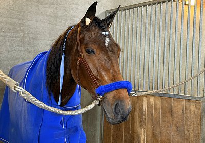 w IMG 2139 La Formidable