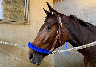 w IMG 2154 La Formidable