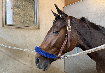 w IMG 2155 La Formidable