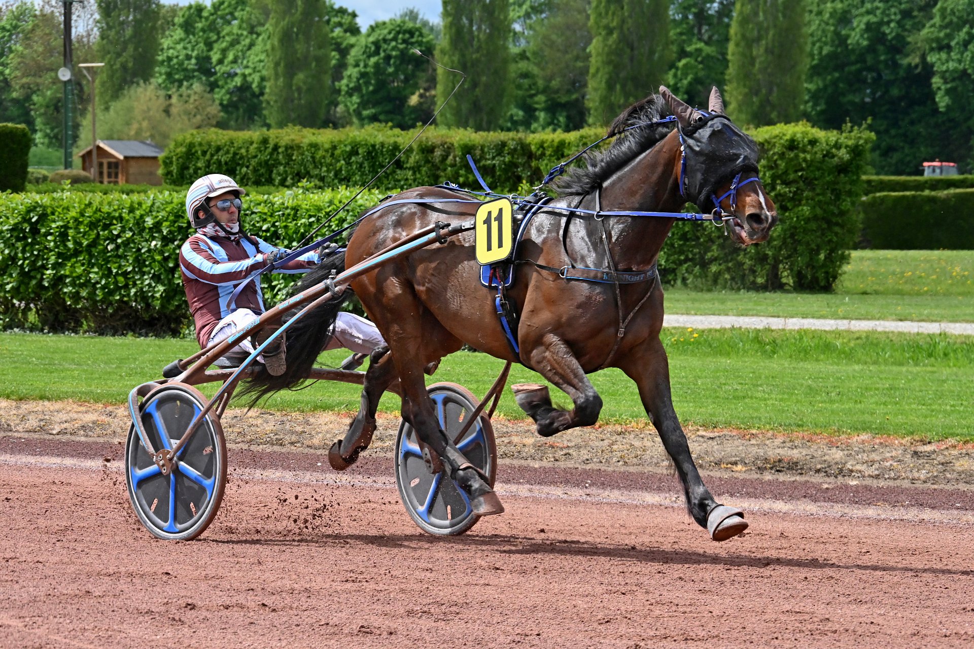 Avenches, 17.11.2025