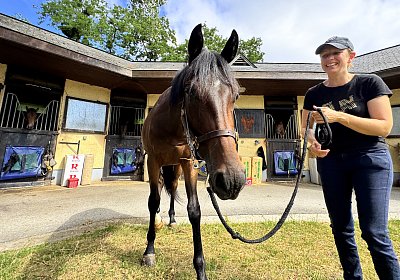 IMG 5322 Vienna s Pride