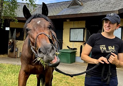 IMG 5329 Vienna s Pride