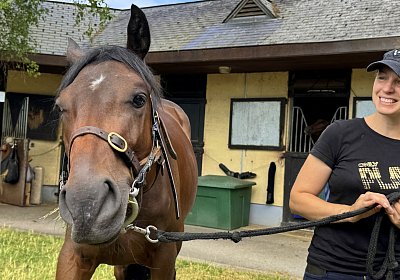 IMG 5330 Vienna s Pride