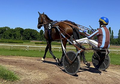 Avenches, 10.10.2025