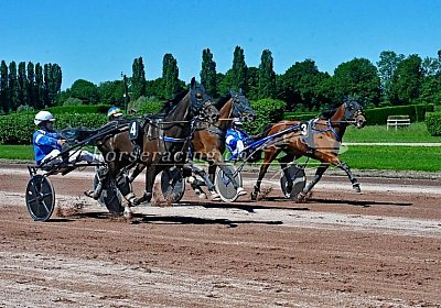 uw 01 03 mamma paulo leader wood