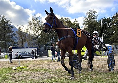 NOON, ECKMUHL und FANDANGO in Maienfeld (12.10.2025)
