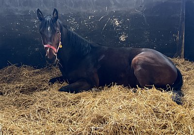 0 IMG 6824 Its Showtime